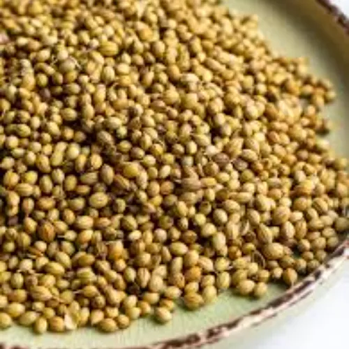 Dhaniya (Coriander Seeds) - Product Image