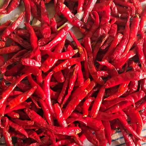 Hybrid mirch dandi cut - Product Image