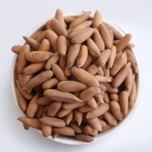 Pine Nuts (Chalghoza) - Product Image