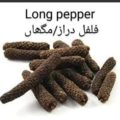 Long Pepper 