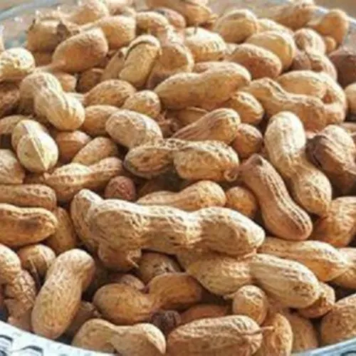 Peanuts (Moongphali) - Product Image