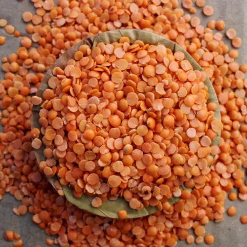 Masoor Dal - Product Image