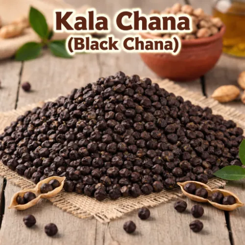 Kala Channa (Russia) / کالا چنا (روسی)