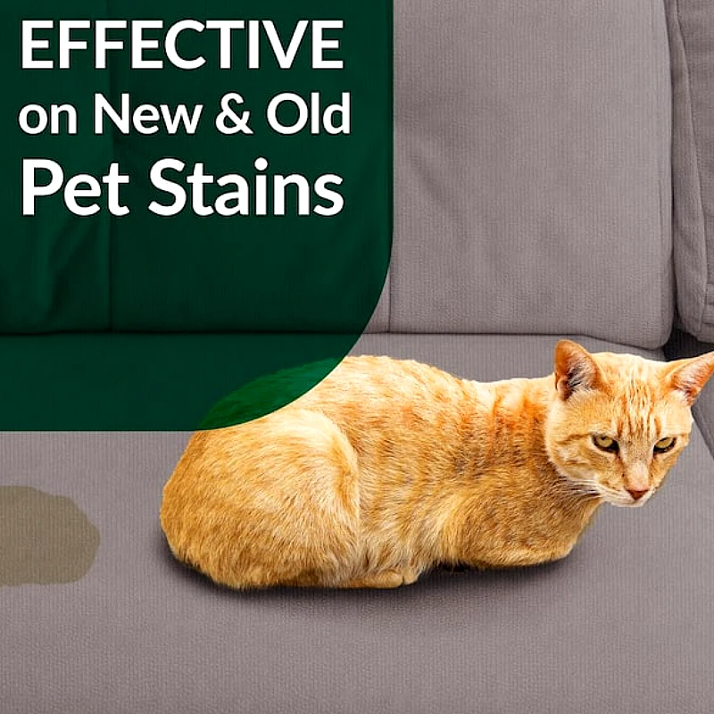 128 Oz. Cat Pet Stain and Odor Remover