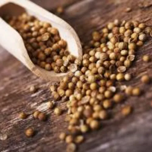 Dhaniya Saliim - Product Image