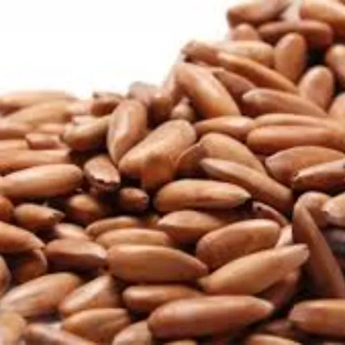 Chilgoza - Product Image