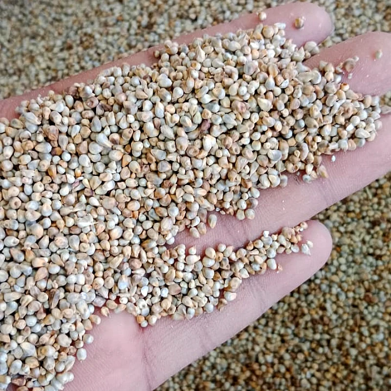 Bajra