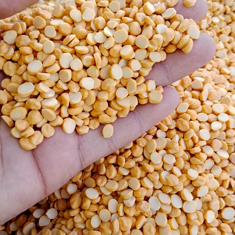 High quality chana Dal