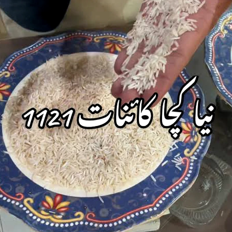 Kachi Kainat New 