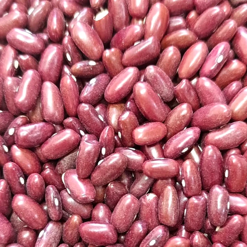 Laal Lobiya