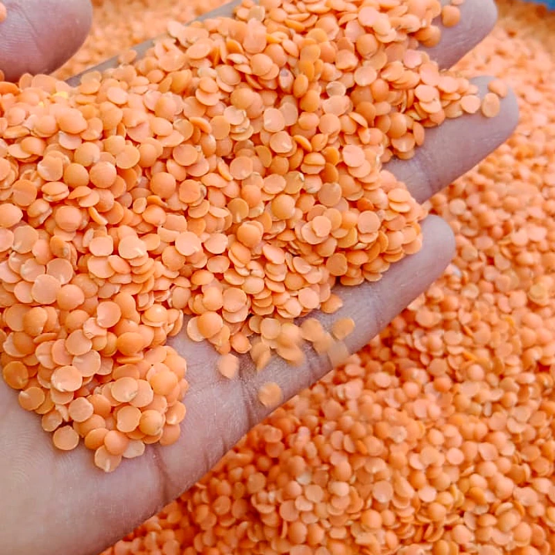 Masoor Dal