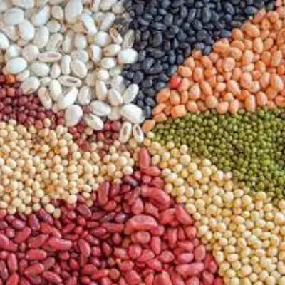 All Products - Malik Fayaz Traders