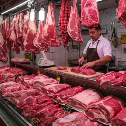 All Products - Rich Only