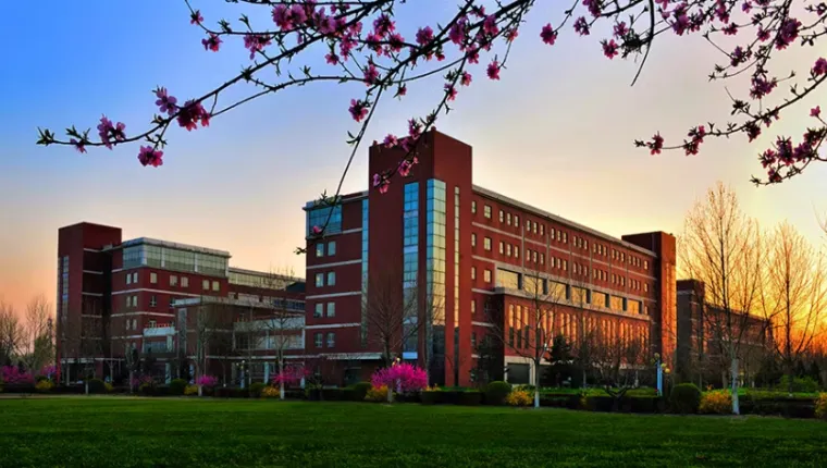 University Selection