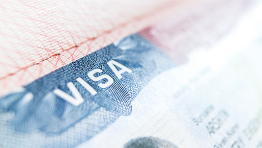 Visa Assistance